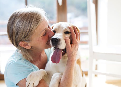 do-dogs-like-being-therapy-dogs